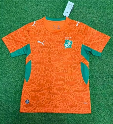 Ivory Coast 2026 World Cup Home Men Jersey - 木樂服飾