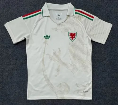 Wales 2026 World Cup Away Men Jersey - 木樂服飾