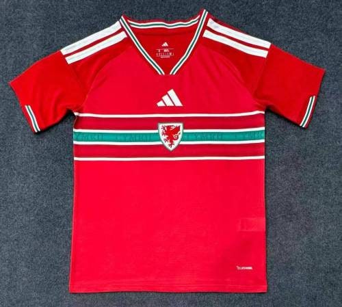 Wales 2026 World Cup Home Men Jersey - 木樂服飾