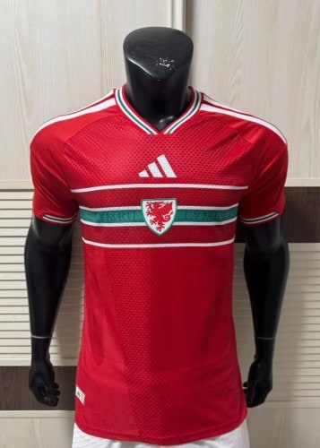 Wales 2026 World Cup Home Player Men Jersey - 木樂服飾